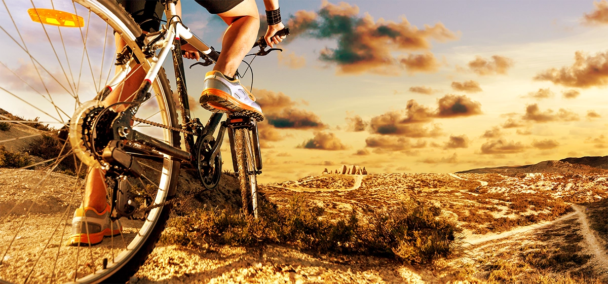 Magasin SECTEUR 44_Savenay (44)